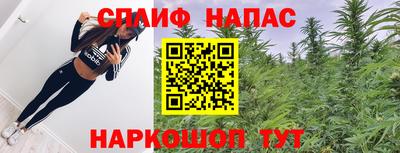 прущие грибы Когалым