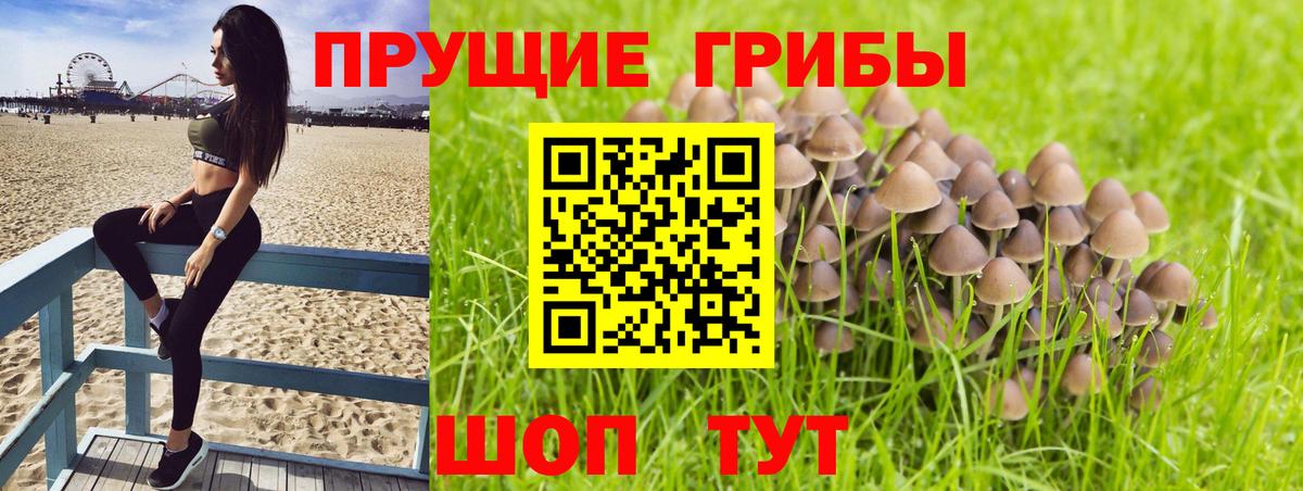 Псилоцибиновые грибы Psilocybine cubensis  Вход с VPN  Галлюциногенные грибы Magic Shrooms  Долгопрудный 
